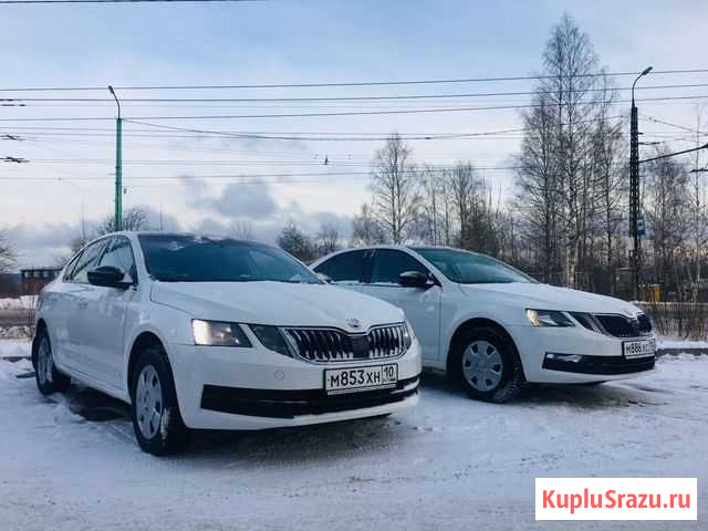 Skoda Octavia акп без водителя Петрозаводск - изображение 1