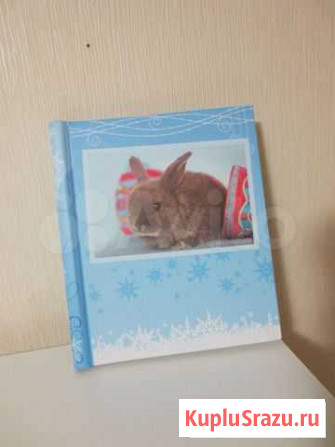 Фотоальбом, 23на28см Петрозаводск - изображение 1