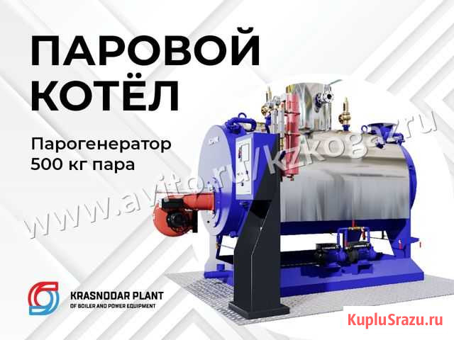 Паровой котел ECO-PAR 500 Сургут - изображение 1
