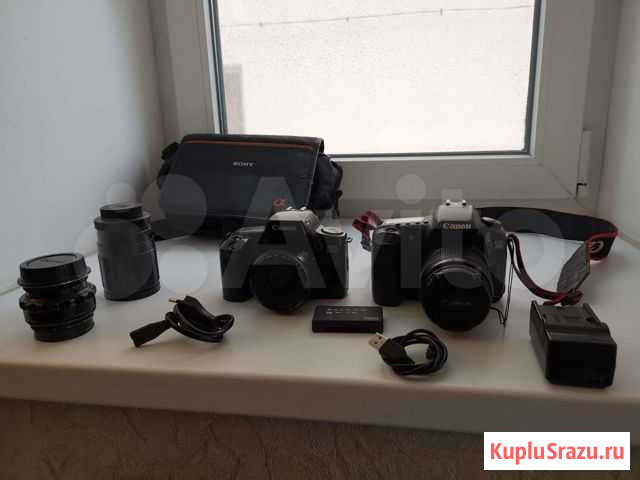 Зеркальный фотоаппарат Canon 20d и 1000F Воронеж - изображение 1
