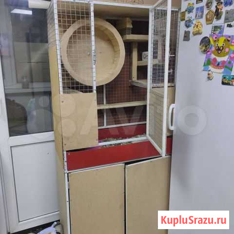 Клетка для шиншиллы Лениногорск - изображение 1