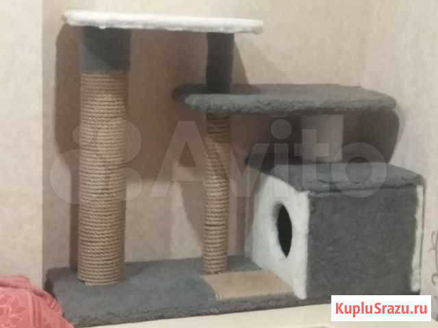 Когтеточка для кошки (новая) Тверь - изображение 1