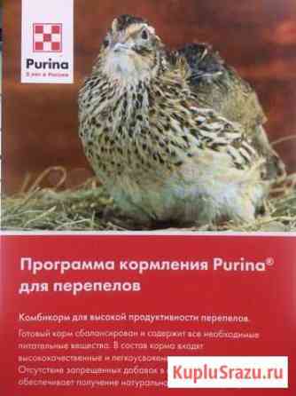 Комбикорм для перепелов Purina Муром