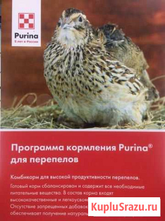 Комбикорм для перепелов Purina Муром - изображение 1
