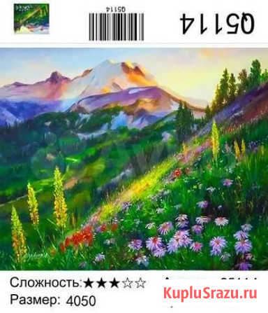 Картина по номерам 40х50 Киров - изображение 1