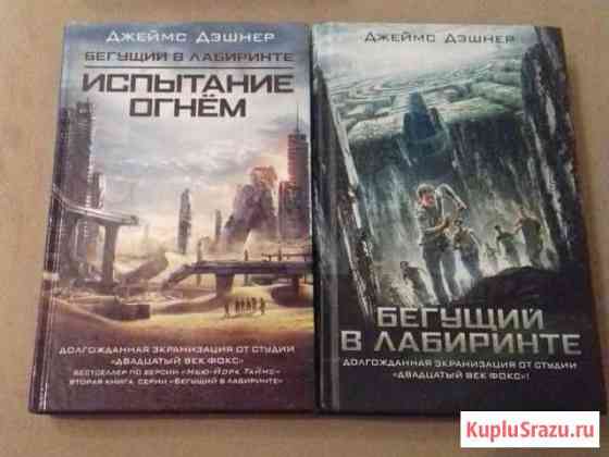 Книги Д. Дэшнер - Бегущий в лабиринте за две Брянск