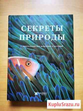 Секреты природы Комсомольск-на-Амуре