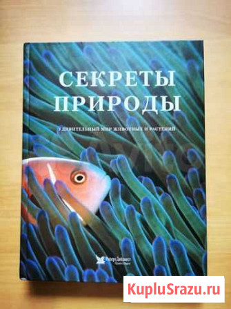 Секреты природы Комсомольск-на-Амуре - изображение 1