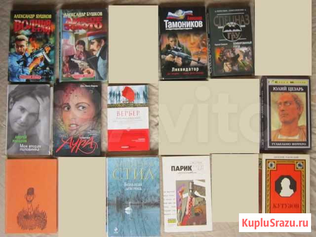 12 книг. Бушков, Вербер, Чейз, Тамоников, Самаров Мурино - изображение 1