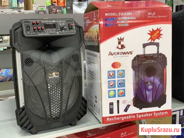 Портативная колонка караоке Avcrowns CH-1201 100Вт Иркутск - изображение 1