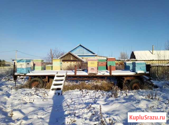 Продам пчеловодческий прицеп.торг уместен Елань - изображение 1