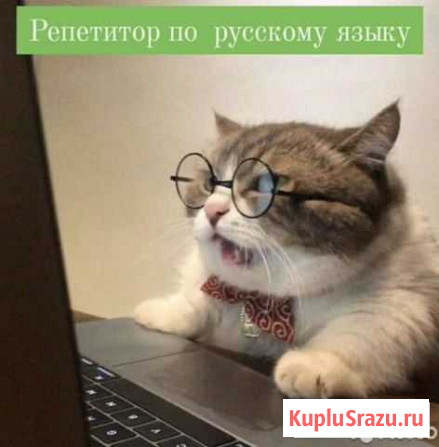 Репетитор по русскому языку Калининград - изображение 1