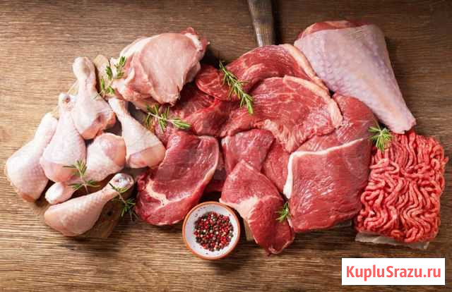 Корм для кошек Уфа - изображение 1