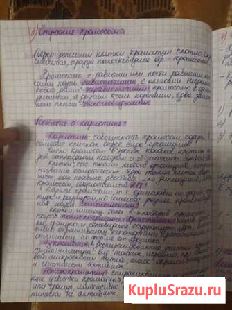 Написание конспектов Воронеж - изображение 1