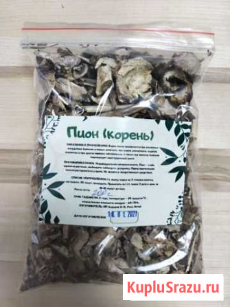 Пион (корень) Горно-Алтайск - изображение 1