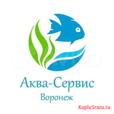 Чистка аквариума от Аква-Сервис Воронеж Воронеж - изображение 1