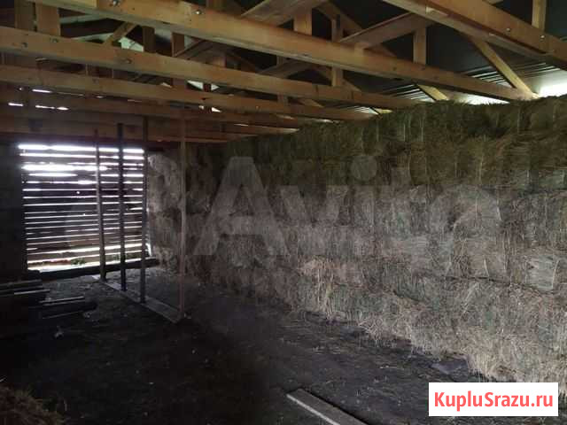 Продам тюки Шихазаны - изображение 1