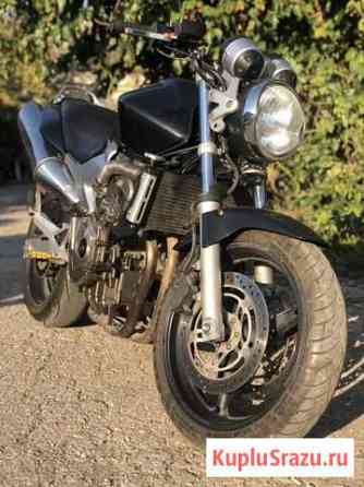 Honda cb600 hornet 2005 Симферополь