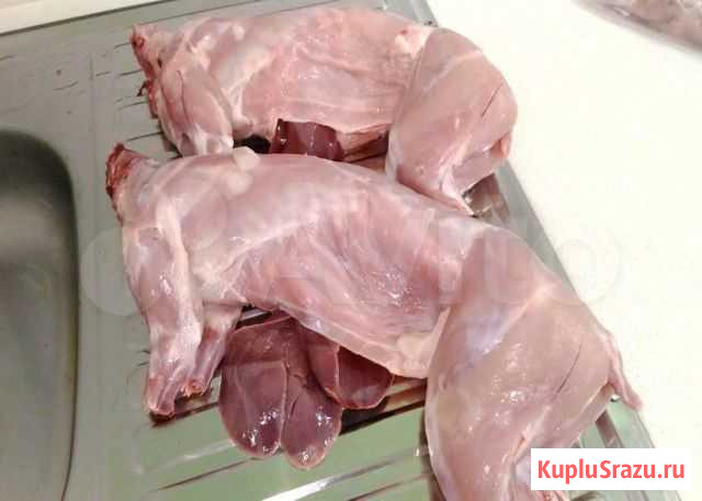 Супер нежное мясо молодых кроликов Череповец - изображение 1