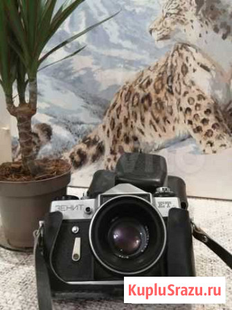 Плёночный фотоаппарат Тюмень - изображение 1