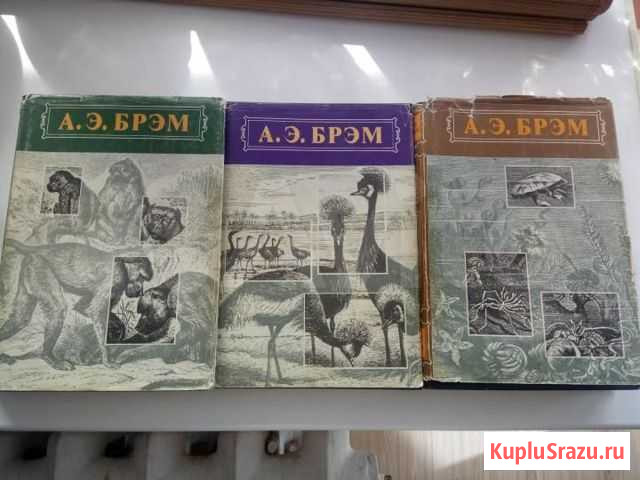 Книги Жизнь животных А. Брэм Барнаул - изображение 1