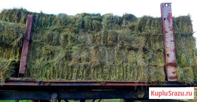 Продам сено в тюках 20 кг урожай 20 Улан-Удэ - изображение 1