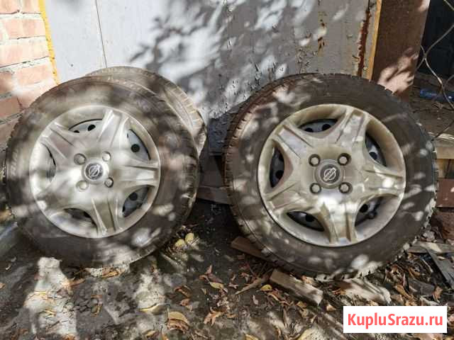 Triangle Snow Link 195/65/15 новая Бийск - изображение 1