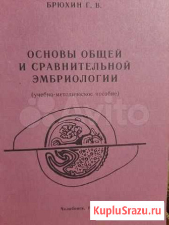 Книга Челябинск - изображение 1