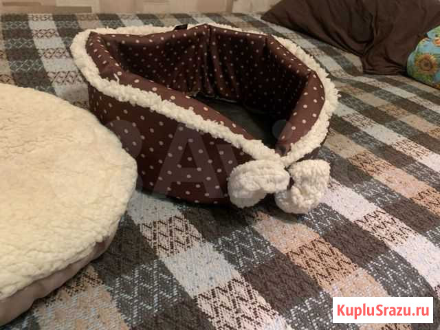 Лежанка для кошки Владимир - изображение 1