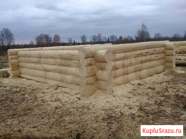 Срубы от Производителя Смоленск - изображение 1