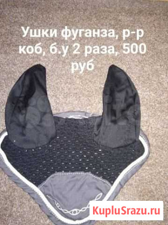 Конная амуниция Воронеж - изображение 1