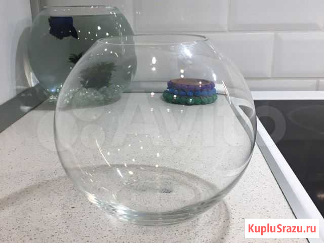 Аквариум Мурино - изображение 1