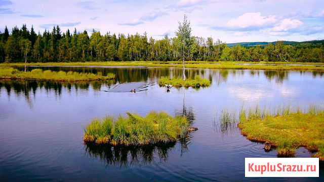 Монтаж водоемов, чистка озер, копка прудов Калуга - изображение 1