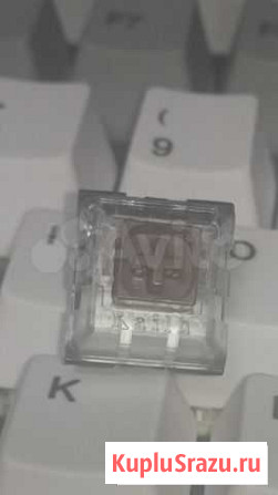 Kailh box brown механические свитчи Архангельск - изображение 1