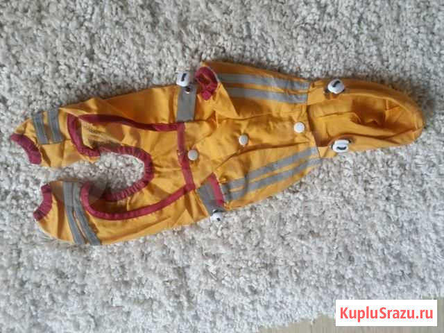 Комбинизон для собачки маленькой породы Тюмень - изображение 1