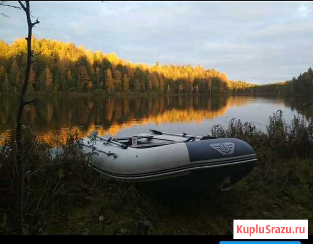 Флагман 320 нднд Череповец - изображение 1