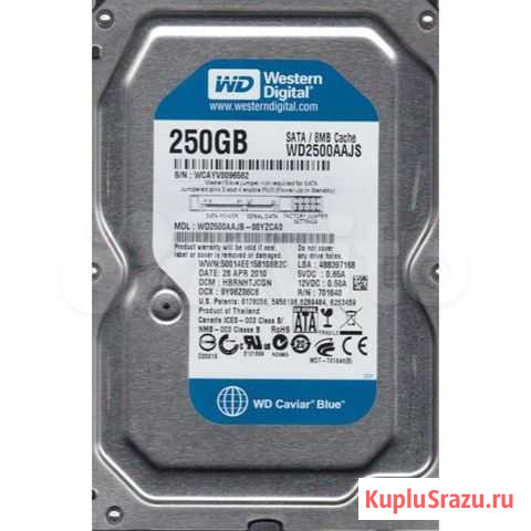 WDC WD2500aajs-00yzca0 250,0 GB (3.5) Печора - изображение 1