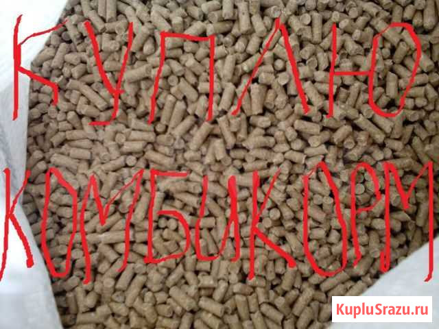 Комбикорм Брянск - изображение 1