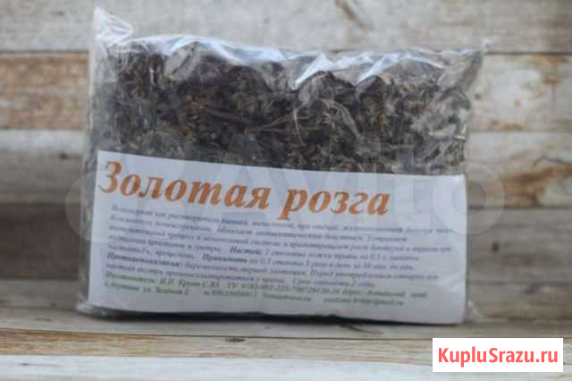 Золотая розга Новосибирск - изображение 1