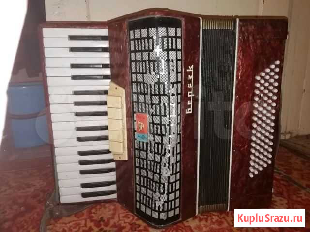 Аккордеон (Баян) Берёзка Усть-Донецкий - изображение 1