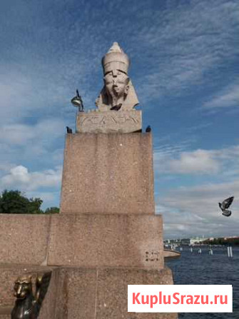 В Санкт-Петербург от 2 дней Курган - изображение 1