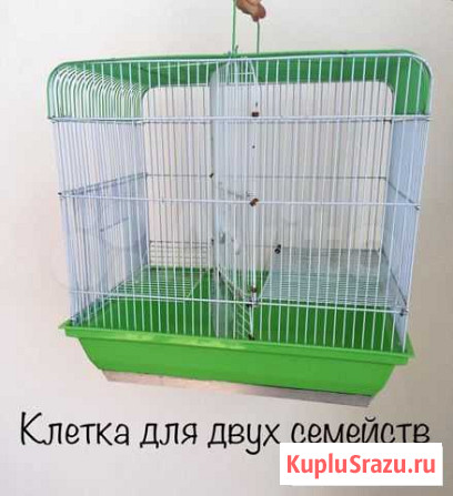 Клетка для джунгарских хомячков двухкомнатная Саранск - изображение 1