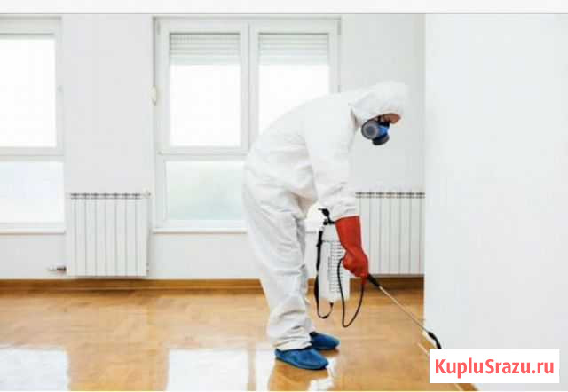 Дезинфекция Дезинсекция Даратизация Ставрополь - изображение 1
