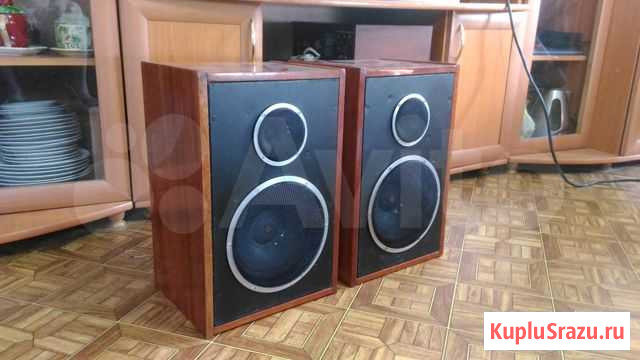 Акустика 10 мас-1 Киров - изображение 1