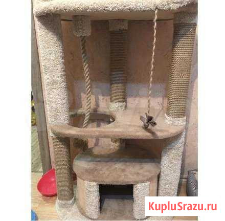 Домик для кошек Пушкино - изображение 1