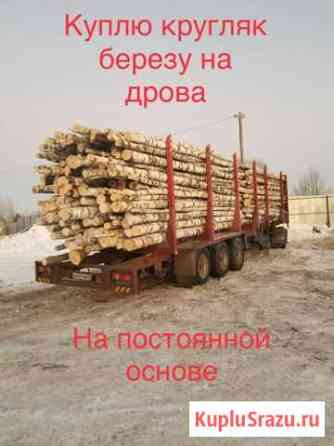 Лес кругляк Казань
