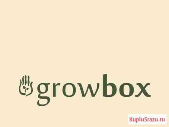 Клуб «GrowBox» индивидуальные тренировки по боксу Санкт-Петербург