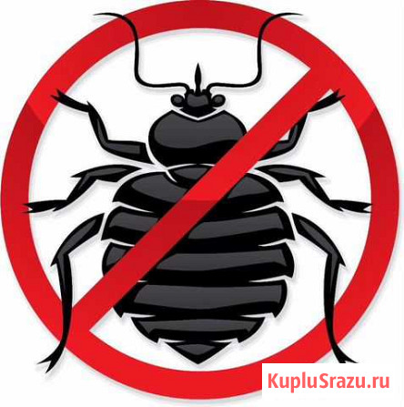 Уничтожения клопов,тараканов, блох, грызунов Омск - изображение 1