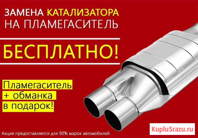Удаление катализатора c прошивкой блока бесплатно Новосибирск - изображение 1