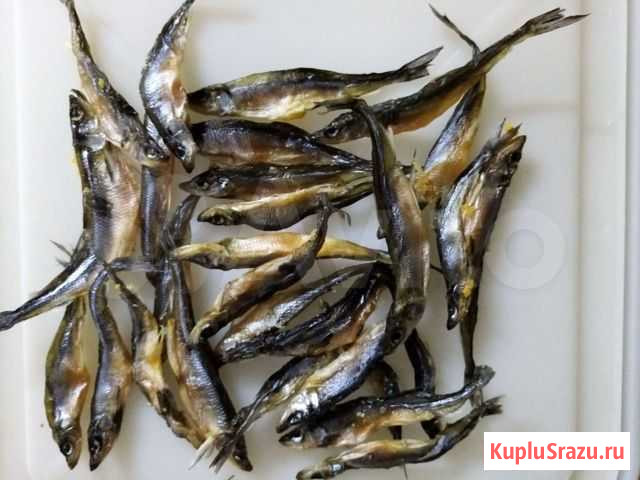 Корюшка вяленая с икрой Мурманск - изображение 1